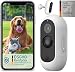 PetTec® Cam Free 2er Set - Wireless Haustierkamera Hundekamera mit App [OHNE ABO-Falle] - Katzen & Hunde Kamera Indoor/Outdoor - Bewegungserkennung & Sprachfunktion - Akku bis zu 9 Monate ohne Laden