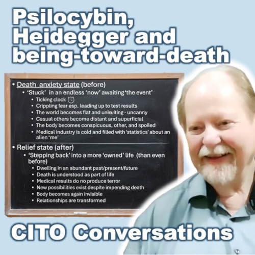 Johno (Robert Johnston) on Psilocybin, Heidegger and being-toward-death