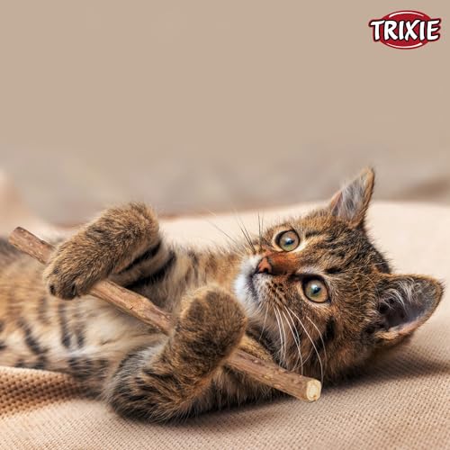 Image of Trixie: - Matatabi Chewing Stick | Interactive Cat Toy, Attracts and Stimulates Cats Hunting Instincts | Made with Dried Matatabi Fruits, Supports Dental Hygiene and Cleans Teeth - 10 Gm