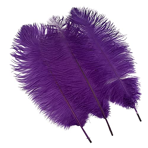 Glitter Krewe NOLA's Amazon Page