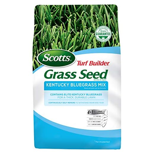 Scotts Turf Builder Grass Kentucky Bluegrass Mix-7 lb, Use in Full Sun, Light Shade, Fine Bladed Texture, and Medium Drought Resistance, Seeds up to 4,725 sq. ft