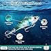 WITOROR Advent Calendar 2025 Fishing Christmas Countdown, 24 Days Fishing Lures Set, Fishing Advent Calender for Fisher Adult Men Teen Boys 2025 Christmas Gifts