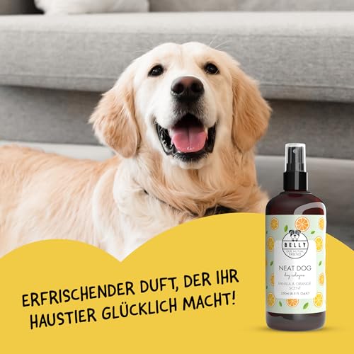 Belly® Hundeparfüm – Duftspray für Hunde & Welpen –250ml– Parfüm für Hunde mit Vanille & Orange – Spray gegen Geruch – pH-neutral – Fellpflege & Hundepflege