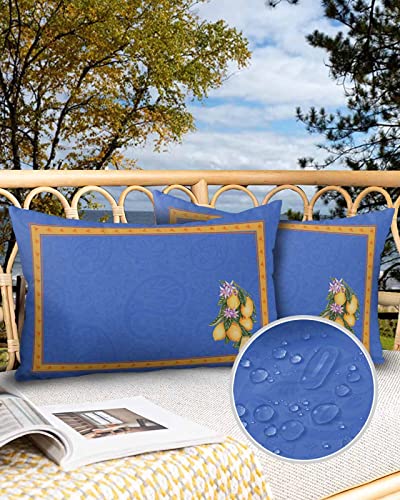 Outdoor Throw Pillow Farm Lemon Flower Waterproof Pillow Covers With Insert,Soft Throw Pillows Cushion Set Of 2,Blue Mandala Paisley Floral Yellow Border Patio Pillow Pillowcase For Couch,Sofa,Chair #TOP23