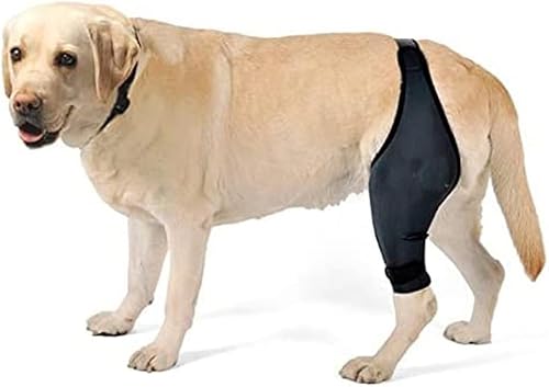 Miniatura 9 de Balacoo Arnés para perro para perro ACL trasero pata pata bálsamo perros lamer seguro cuidado perro articulación perro rodilla vestido forma soporte