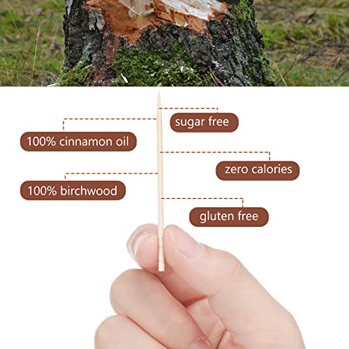 mumufy 400 pcs 4 boxes cinnamon toothpicks for adults cinnamon flavored toothpicks with clear plastic boxes 100 pcs for each box