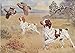 Fun Brittany Spaniel Dog Two Dogs in Rural Setting Wooden Jigsaw Puzzles Thick Sturdy Challenging Party Games Activity Toys for Adults Women Men and Kids Game Artwork 1000 PCS