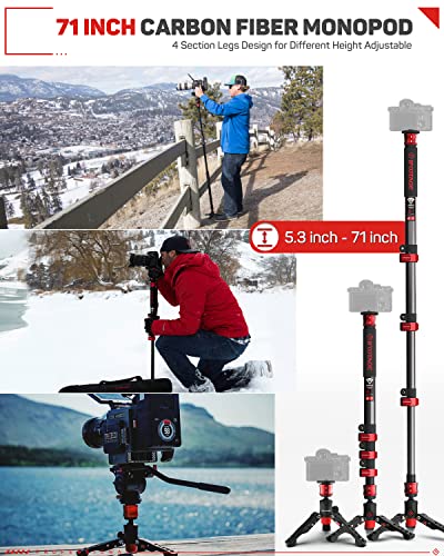 Ifootage 71" Carbon Fiber Camera Monopod Professional Telescopic Video Monopods Base Tripod Compatibility Dslr Cameras Camcorders, Cobra 2 C180-Ii #TOP3