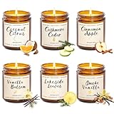 Scented Candle Gift Set for Women – 6 Pack 7oz Winter Scented Soy Candles, Long Lasting Aromatherapy Christmas Gifts for Her, Perfect for Home Décor, Vanilla, Cinnamon & Cedar Scents