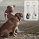Ouligay 2 Stück Mini Urne für Asche Hunde, Edelstahl Hundekralle Tierurnen für Hunde Katze, Gedenk Asche Gedenkurne Schlüsselanhänger Urne Hund, Haustiere Gedenkschlüsselbund, Pet Urns Keychain