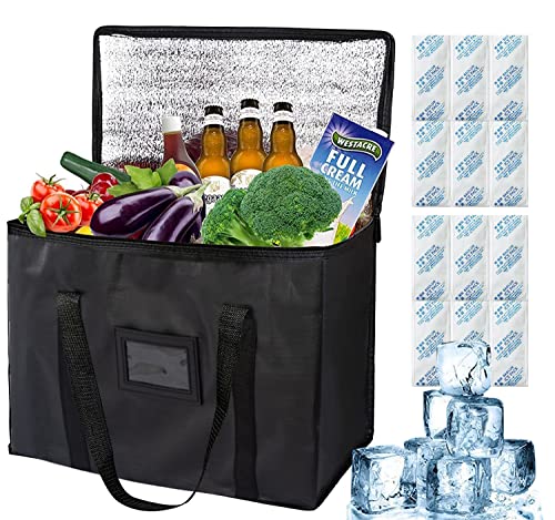 20L Cool Bag Large Insulated Cooler Bags with 12pcs Ice bag Easy to Carry Capacity Lunch Bag Picnic Bag for Camping Beach Family Activitives