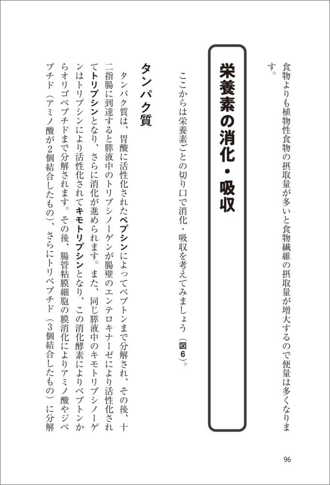 小説みたいに楽しく読める栄養学講義 | 中村 丁次 |本 | 通販