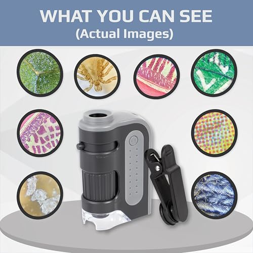 Image of Carson MicroBrite Plus 60x-120x LED Lighted Pocket Microscope