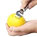 1Easylife Stainless Steel Lemon Zester Grater with Channel Knife and Hanging Loop