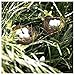 GIN GEOMIR 24PCS Small Faux Bird Nests with Eggs – Handmade Rattan Bird Nests for Easter, Weddings, Home Parties, and Christmas Tree Decorations – Includes Mixed Size Nests and Assorted Eggs