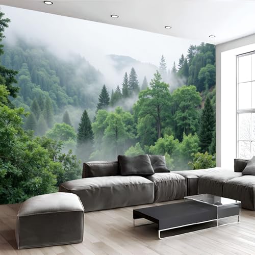 Panoramic View of The Misty Forest Wall Murals 300 X