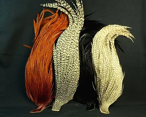 Whiting Introductory Hackle Pack