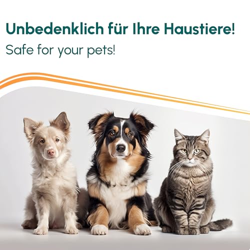 INOX Hocheffektives Giardien Desinfektionsmittel 5L I Anti-Giardien Wischkonzentrat für alle Oberflächen I Wirksames Desinfektionsmittel für Giardien für den Haushalt