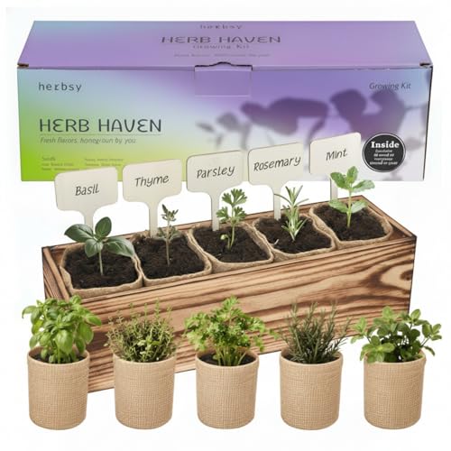 5 Herb Garden Kit with Wooden Box - Including Basil,