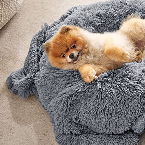 BEDSURE wasserdichte Hundedecke für kleine Hunde - 60 x 80 cm Langer Plüsch Hundedecke waschbar, Haustier Decke flauschig und weich, Schutzdecke Hundesofa, Katzendecke für Katzen, Grau