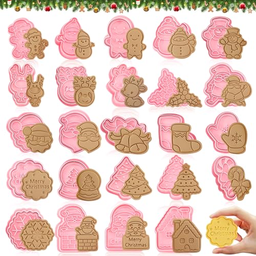 Formine Biscotti Natale, 16pcs Stampi per Biscotti 3D, Stampo per Biscotti Natalizi, Plastica Stampi Biscotti per Decorazioni di Dolci di Pasticceria (Natale 24)