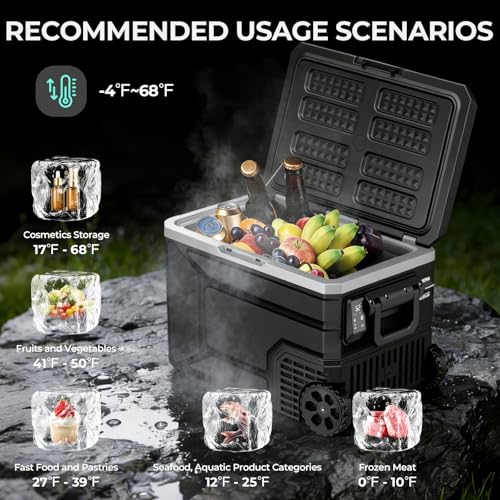 Portable Electric Cooler for Camping
