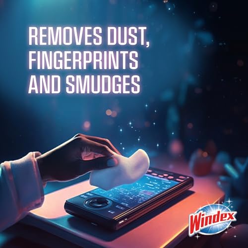 Windex Gaming Cleaning Wipes, Pre-Moistened Wipes to Instantly Clean all Gaming Gear and Electronics, Resealable Packaging for a Freshness Lock, 25 count (Pack of 1)