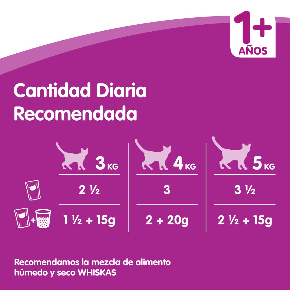 Whiskas Comida Húmeda para Gatos Selección Aves en Gelatina, Multipack (Pack de 4 x 12 Bolsitas x 100g)