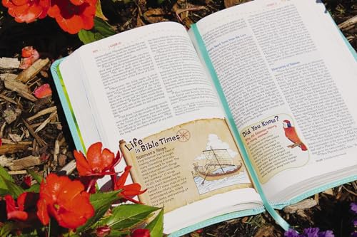 Image of NKJV, Adventure Bible, Leathersoft, Teal, Full Color