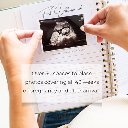 Fig & Sparrow Pregnancy Journal Memory Book For New Moms- Linen Pregnancy Must-Have Gift For First Time Moms-Gender Reveal Gift-Ultrasound Photo Album thumb #4