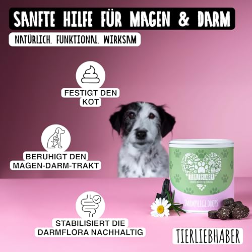 TIERLIEBHABER Darmpflege Drops – 350g (115 Stück) – Darmkur für Hund Darmflora aufbauen – Hundeleckerlies zum Magenschutz für Hunde – Hunderunde Futtertopping Hunde Leckerli – Darmsanierung Hund