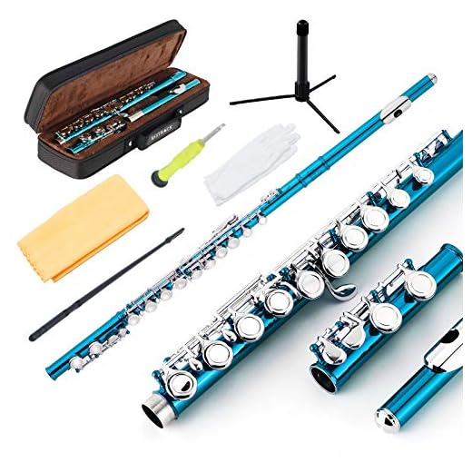 EastRock Closed Hole Flutes C 16 Key for Beginner, Kids, Student -Nickel Flute with Case Stand and Cleaning kit (Sea Blue)