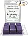 Candlecopia Black Raspberry Vanilla Strongly Scented Hand Poured Premium Natural Soy Wax Melts, 12 Soy Wax Cubes, 6.4 Ounces in 2 x 6-Packs