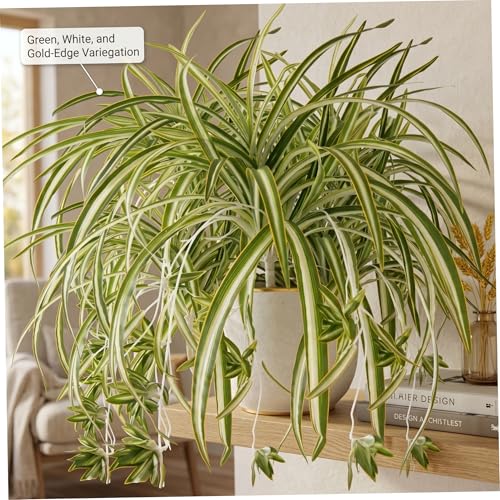 Planta de araña artificial de imitación con bordes dorados de 5 piezas 6