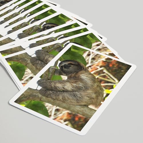 Baraja de 52 cartas Poker para adultos Sloth in Tree miniatura 5
