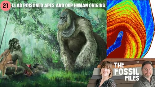 21. Lead Poisoned Apes and Our Human Origins
