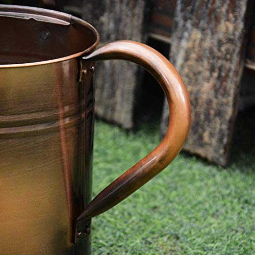yourjoy Sliver Galvanized Steel Watering Can with Copper Accents,Removable Rosette-Diffuser,One-Gallon