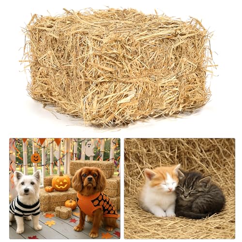 BobbleT Natural Wheat Straw – 1 LB Clean Dry Straw Bale for Stray Cats & Dogs, Warm Straw for Cat Shelter, Soft Straw Bedding for Cats, Chicken Coop Bedding, Hay Bales for Decoration