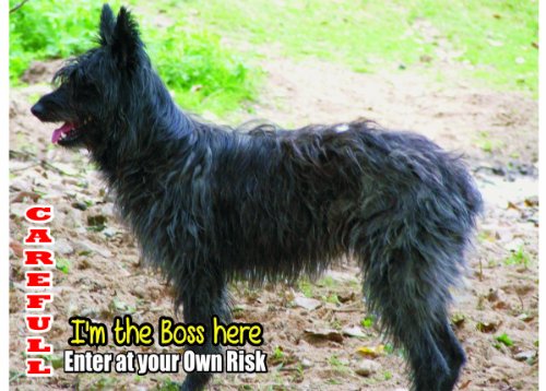 Attention Beware Fun Sign Dog Bouvier des Ardennes Dog for your home or  house SF1115