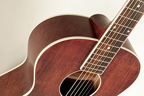 Amazon.com: The Loar LH-204-BR Brownstone Small Body