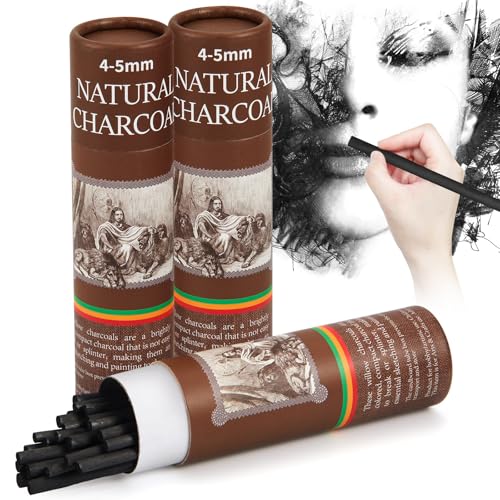 Gueevin 50 Pcs Soft Willow Charcoal Sticks Drawing,4-5mm