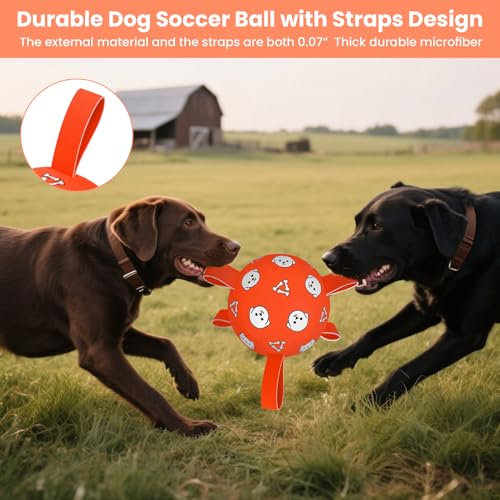 Image of 6 Inch Dog Soccer Ball, Interactive Dog Toys for Small Dogs | Floating Water Toys, Jolly Ball with Straps, Durable Outdoor Training Dogs Tug Toy, Outside Pet Toys, Birthday Gift for Puppy