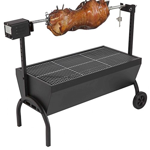 Generic Medium Chicken Gyro Charcoal BBQ Grill Spit Rotisserie Hog Roaster with 220v 240v 20kg Motor