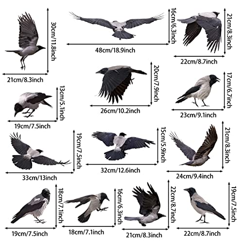 Mefoss Removable Crows Wall Decals 3D Lifelike Raven Wall Stickers Peel And Stick Vinyl Decals Art For Living Room Bedroom Office Wall Decor Windows Stickers #TOP2