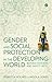 Gender and Social Protection in the Developing World: Beyond Mothers and Safety Nets (Gender and Environment)