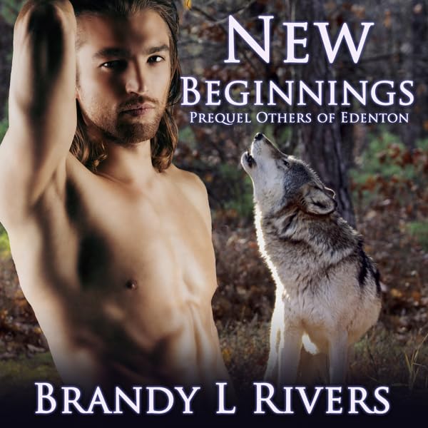 Cover art for New Beginnings