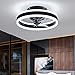 Led Ventilador Techo con Luz Reversible Mando a Distancia Silencioso 6 Velocidades Dormitorio Lamparas Ventilador de Techo Pequeño Moderno Φ40cm Regulable Ventilador Techo con Luz,Negro
