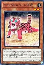 遊戯王 第11期 DP27-JP040 アマゾネスペット仔虎