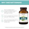 Himalaya NSK-SD Nattokinase, Dietary Supplement for Healthy Circulation, Vegan, Gluten Free Natto Extract, 100 mg, 60 Capsules