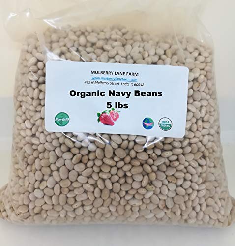 Navy Beans 5 Pounds USDA Certified Organic, Non-GMO Bulk